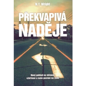 Překvapivá naděje - Wright N. T.