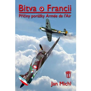 Bitva o Francii -- Příčiny porážky L´Armée de l´Air