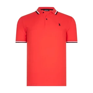 Koszulka polo męska dewberry