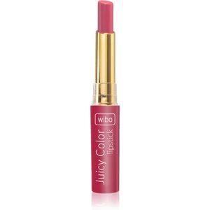 Wibo Lipstick Juicy Colour krémová hydratační rtěnka 2 v 1 04 1,4 g