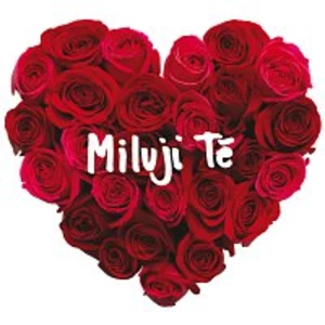 MILUJI TE - Tě Miluji [CD album]