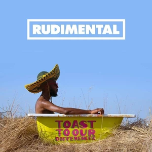 Rudimental Toast To Our Differences (LP)