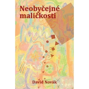 Neobyčajné maličkosti - Novák David