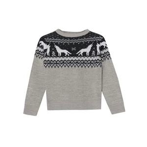 Top Secret BOY'S SWEATER LONG SLEEVE