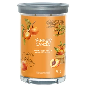 Svíčka YANKEE CANDLE Signature Tumbler 567g Farm Fresh Peach