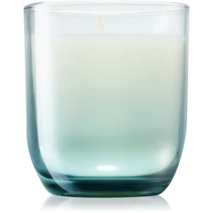 Paddywax Enneagram Enthusiast (Cactus Flower) vonná svíčka 141 g