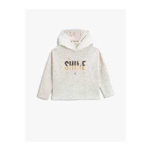 Koton Hooded Sweatshirt with Sequin Embroidered Silvery.