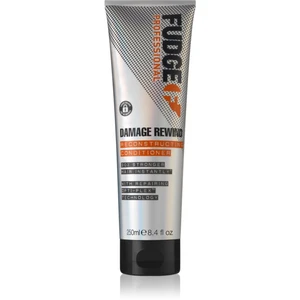 Fudge Professional Damage Rewind Reconstructing Conditioner odżywka do włosów bardzo suchych i zniszczonych 250 ml