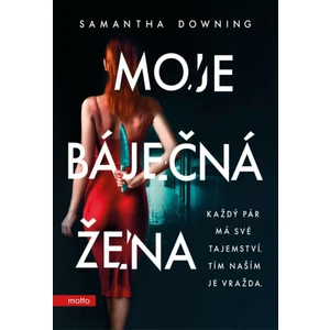 Moje báječná žena - Downing Samantha