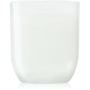 Paddywax Enneagram Peacemaker (Sage & Lavender) vonná svíčka 141 g