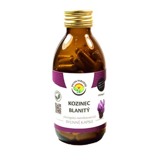 Salvia Paradise Kozinec blanitý kapsle 120 ks