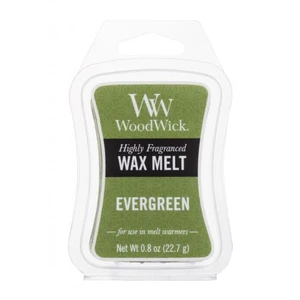 WoodWick Vonný vosk Evergreen 22,7 g