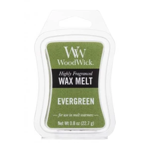 WoodWick Vonný vosk Evergreen 22,7 g