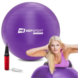 Gymnastická lopta s pumpou 75cm - fialová