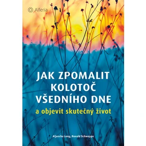 Jak zpomalit kolotoč všedního dne, Long Aljoscha