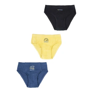 Yoclub Kids's Cotton Boys' Briefs Underwear 3-pack BMC-0027C-AA30-002