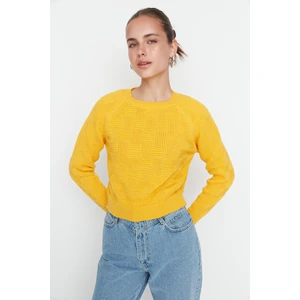 Trendyol Sweater - Yellow - Regular fit