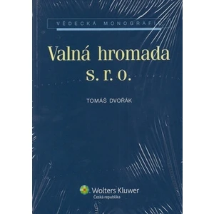 Valná hromada s. r. o. - Tomáš Dvořák