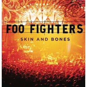 Foo Fighters Skin & Bones (2 LP)