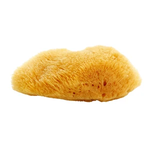 Magnum Natural karibská mořská houba 10- 12 cm