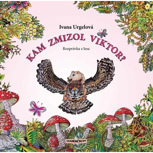 Kam zmizol Viktor? - Urgelová Ivana