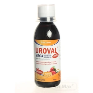 UROVAL Megabrusinka Forte sirup 200 ml