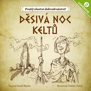 Gamebook: Děsivá noc keltů - David Bimka (ilustrace Lukáš Fibrich)