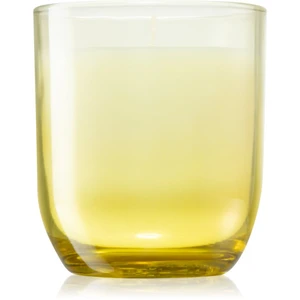 Paddywax Enneagram Individualist (Prickly Pear) vonná sviečka 141 g