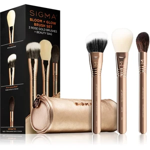 Sigma Beauty Bloom + Glow Brush Set sada štětců s pouzdrem