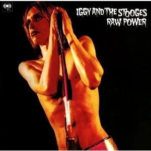 Iggy & The Stooges Raw Power (2 LP) 180 g