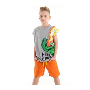 Mushi T-Rex Flame Boys Child Gray T-Shirt Orange Shorts Set