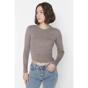 Trendyol Sweater - Brown - Regular fit