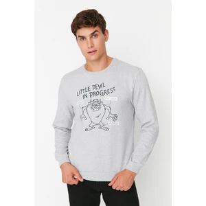 Trendyol Sweatshirt - Gray - Regular fit