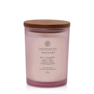 Chesapeake Bay Candle Mind & Body Joy & Laughter vonná svíčka 250 g