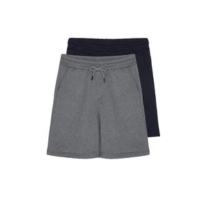 Trendyol Anthracite-Navy Blue Basic Regular/Normal Fit Straight 2-Pack Shorts