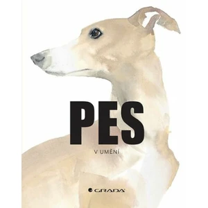 Pes v umění