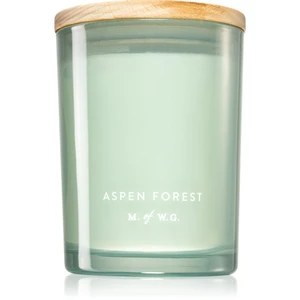 Makers of Wax Goods Aspen Forest vonná svíčka 420 g