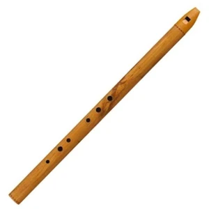 Terre Irish D Flûte ethnique