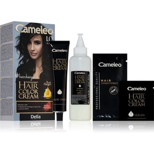 Delia Cosmetics Cameleo Omega permanentní barva na vlasy odstín 1.0 Black