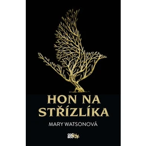 Hon na střízlíka - Mary Gordon Watsonová