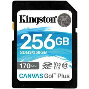 Kingston 256GB SDXC Canvas Go! Plus CL10 U3 V30 SDXC 256 GB Carte mémoire