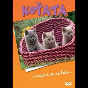 Koťata - DVD