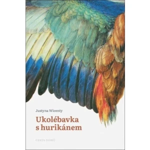 Ukolébavka s hurikánem - Justyna Wicenty