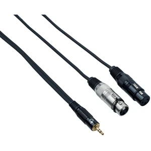 Bespeco EAYMS2FX300 3 m Audio kabel