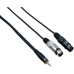 Bespeco EAYMS2FX300 3 m Cable de audio