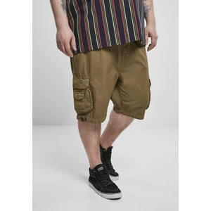 Double Pocket Cargo Shorts Summerolive