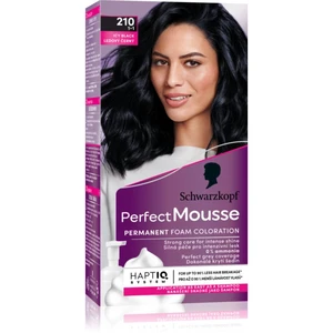 Schwarzkopf Perfect Mousse permanentná farba na vlasy odtieň 210 Icy Black