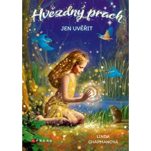 Hvězdný prach Jen uvěřit - Linda Chapmanová