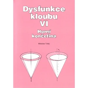 Dysfunkce kloubu VI. - Tichý Miroslav