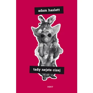 Tady nejste cizej - Adam Haslett